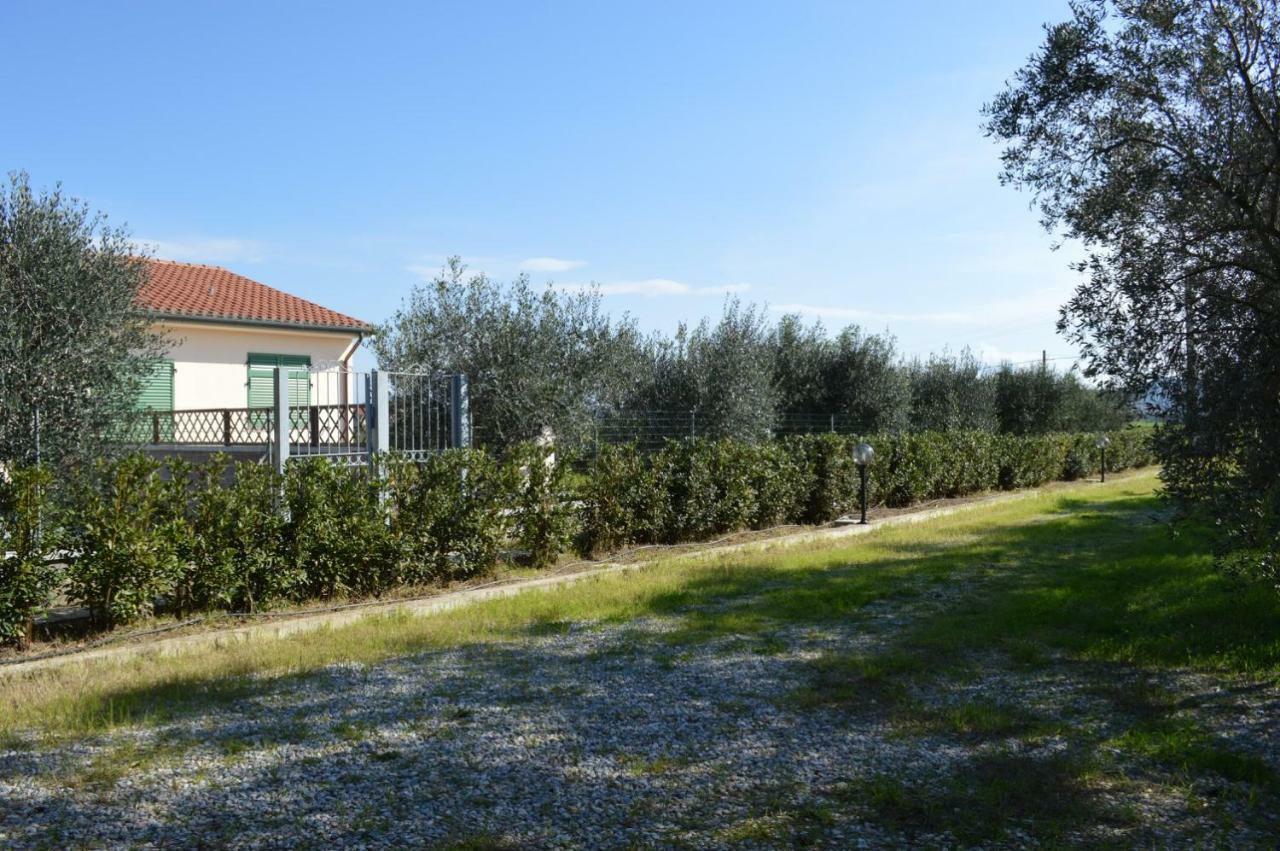 Agriturismo Olivomare بيومبينوا المظهر الخارجي الصورة