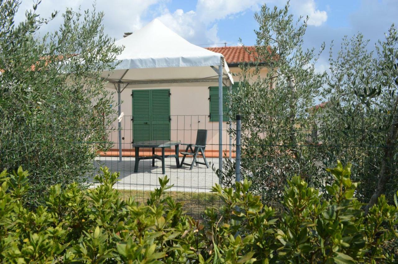 Agriturismo Olivomare بيومبينوا المظهر الخارجي الصورة